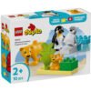 LEGO® DUPLO 10442 - Семействата на дивите животни: пингвини и лъвове