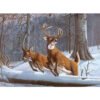 Royal Adult - Комплект с акрилни бои - Елени