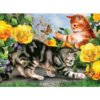 Royal к-кт с акрилни бои Котета Junior Large