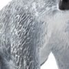 Коала