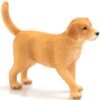 Кученце порода, Голдън Ретривър