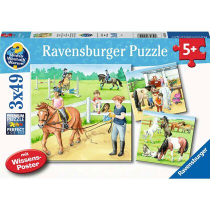 Ravensburger - Пъзел 3х49 ел. - Един ден при конете