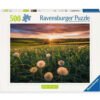 Ravensburger - Пъзел 500 eл. - Пустинни цветя на слънце