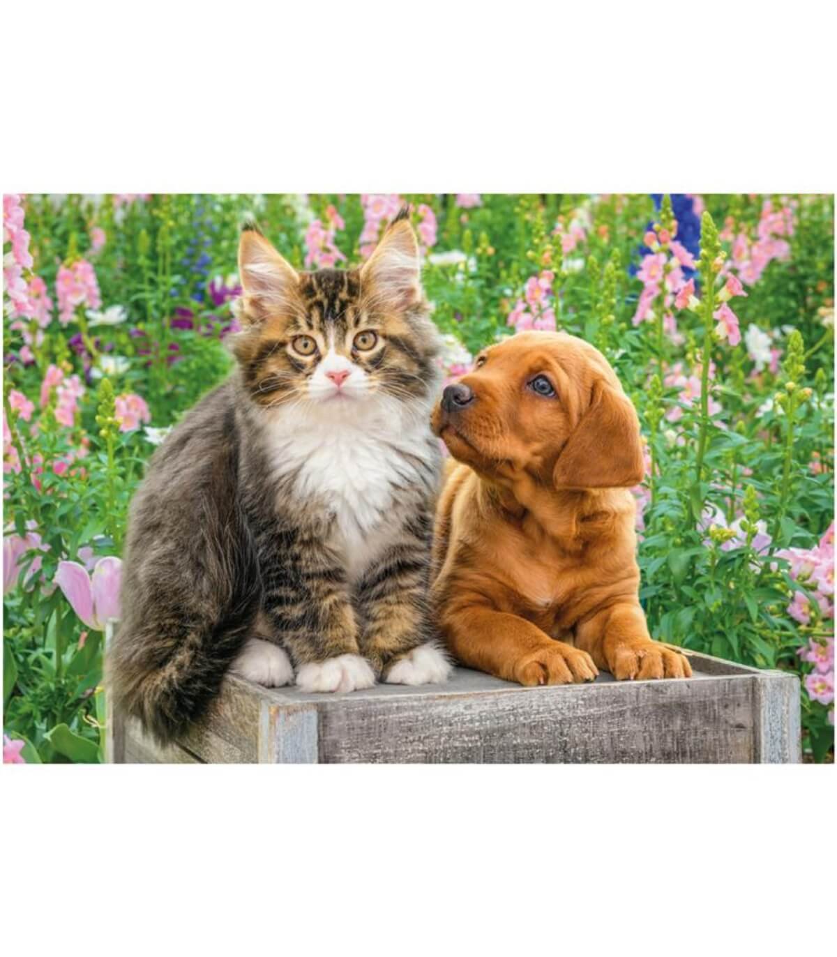 Детски пъзел куче и котка 2x48 части - Image 4