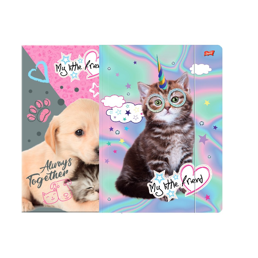 Папка с ластик My little friend A4