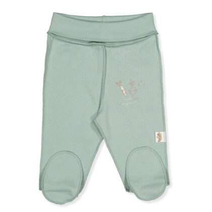 T3831 Ританки farm Мента 1-3м/62см
