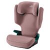 Стол DISCOVERY PLUS 2 BR Dusty Rose SB
