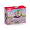 42617 Игрален комплект Horse Grooming Station