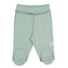 T3831 Ританки farm Мента 3-6м/68см