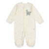 T3870 Гащеризон farm Мента 1-3м/62см