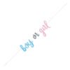 76087 Банер “Boy or Girl“ 213 см.