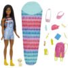 HDF74 Barbie Кукла Camping Brooklyn Doll
