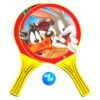 WB-1004-LT/50 Плажен тенис Looney Tunes