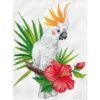 Гоблен Cockatoo call