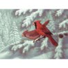 Royal Adult - Комплект с акрилни бои - Северни кардинали