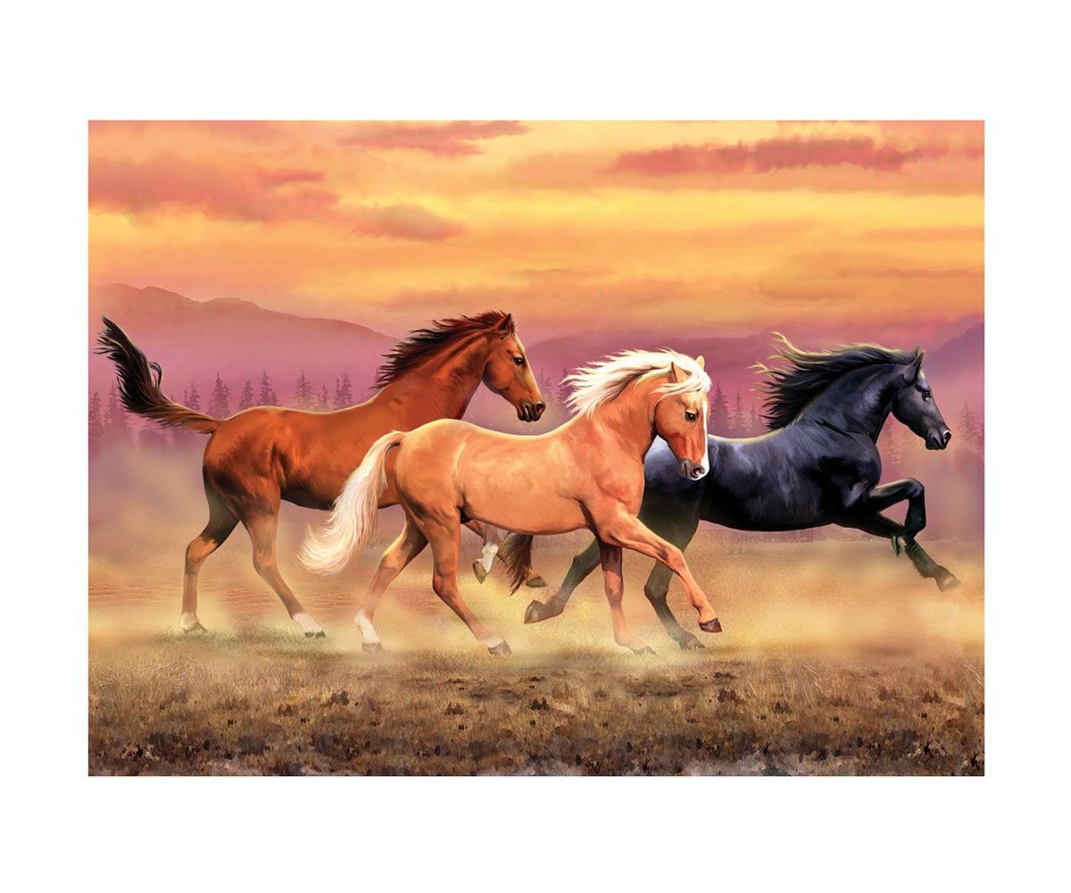 Royal к-кт с акрилни бои Коне Junior Large